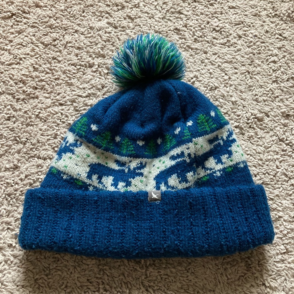 Eddie Bauer men’s winter hat (OS)